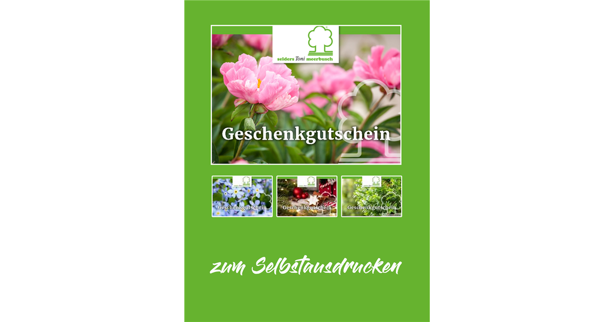 Gutschein Online Selders Meerbusch