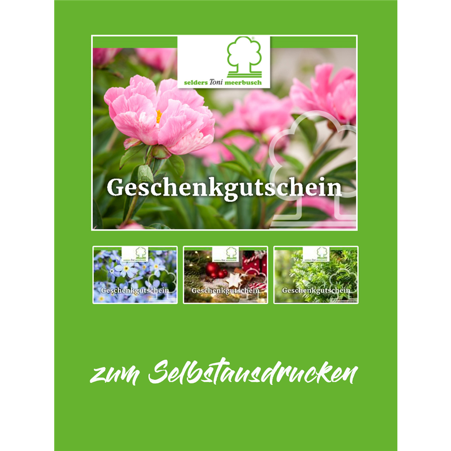Gutschein Online Selders Meerbusch